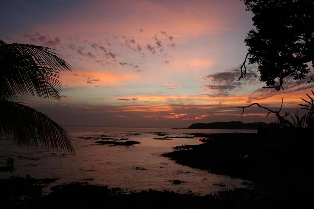 Oceanfront Bungalows - Paradise Rentals Santa Catalina Eksteriør billede